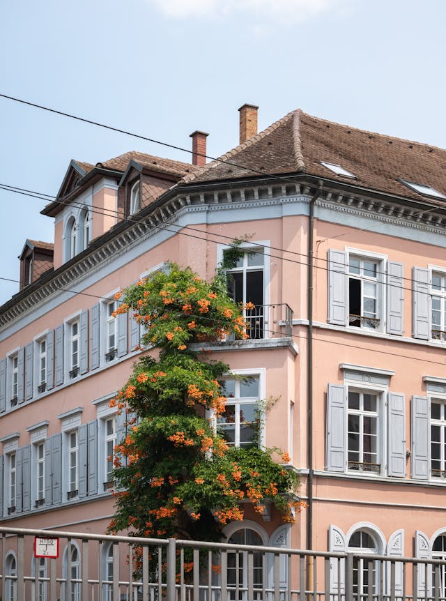 Rénovation immeuble Fribourg